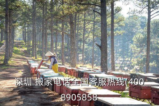 深圳 搬家电话全国客服热线(4008905858