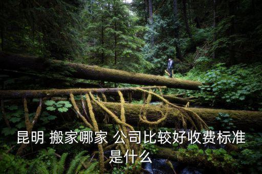 昆明 搬家哪家 公司比较好收费标准是什么
