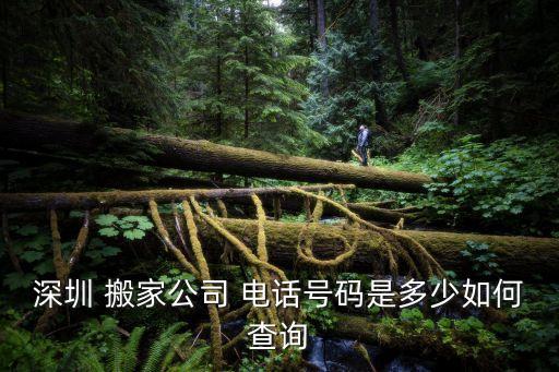 南湖工业园搬家电话多少,南湖学校搬家多少钱