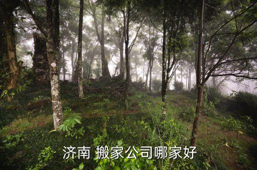  济南 搬家公司哪家好
