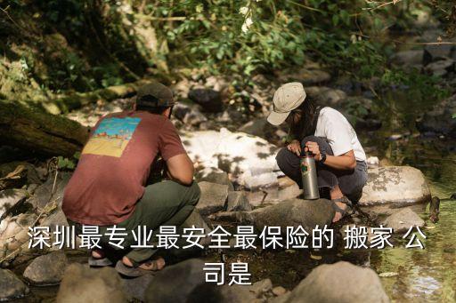 深圳最专业最安全最保险的 搬家 公司是