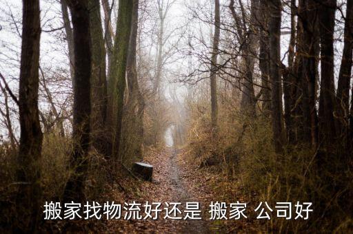  搬家找物流好还是 搬家 公司好