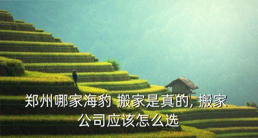 郑州哪家海豹 搬家是真的, 搬家 公司应该怎么选