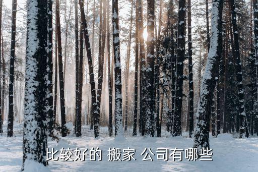 比较好的 搬家 公司有哪些