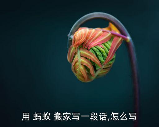 蚂蚁在什么地方搬家扩句,蚂蚁晚上搬家意味着什么?