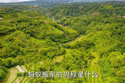  蚂蚁搬家的流程是什么