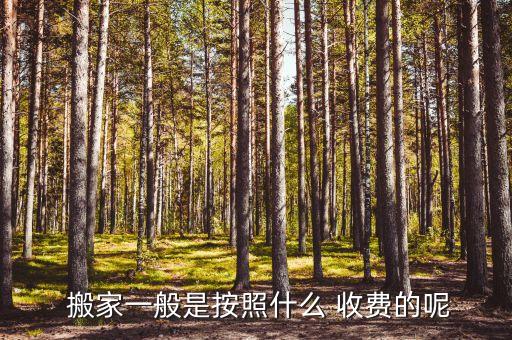 西宁搬家公司按什么收费,青海西宁搬家公司
