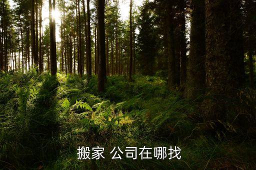  搬家 公司在哪找
