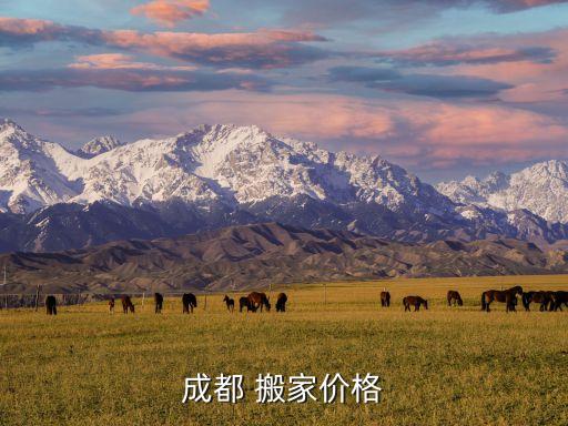 成都 搬家价格