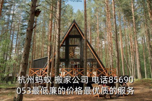 杭州蚂蚁 搬家公司 电话85690053最低廉的价格最优质的服务