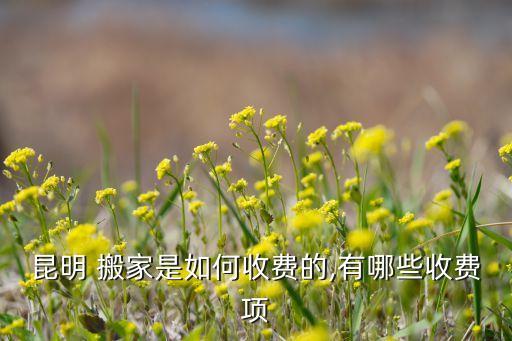 昆明 搬家是如何收费的,有哪些收费项