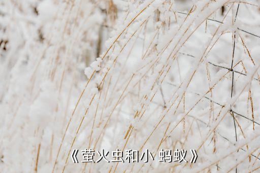 《萤火虫和小 蚂蚁》