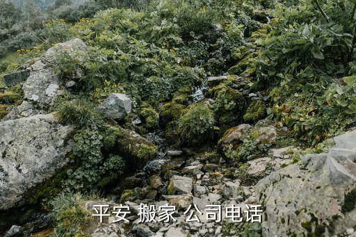 本地搬家公司的电话号码,货拉拉搬家公司电话号码