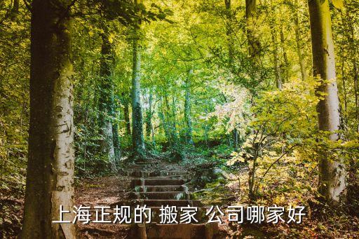 上海正规的 搬家 公司哪家好