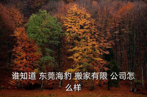 谁知道 东莞海豹 搬家有限 公司怎么样