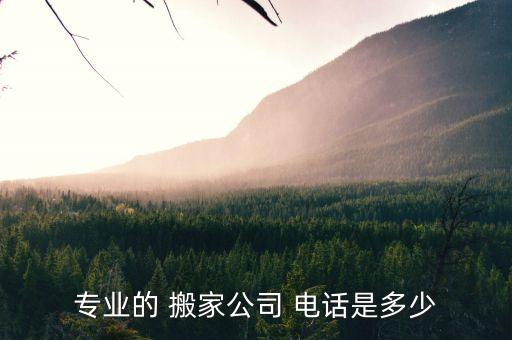专业的 搬家公司 电话是多少