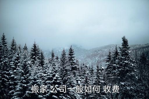  搬家 公司一般如何 收费