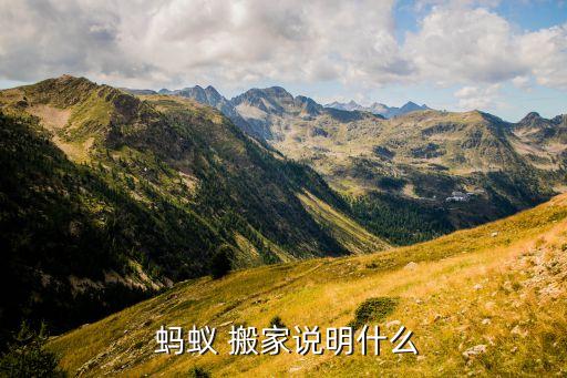  蚂蚁 搬家说明什么