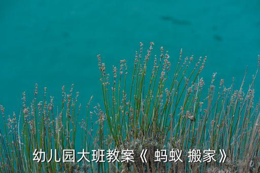 蚂蚁搬家怎么把销量搬运过来