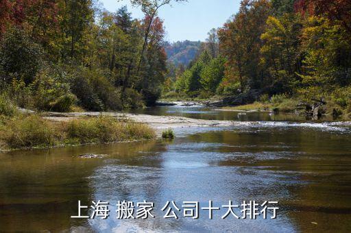 上海 搬家 公司十大排行