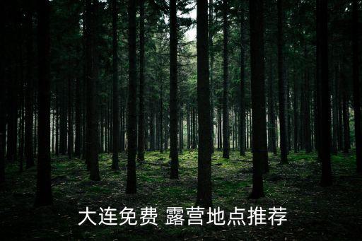 搬家大连露营攻略电话