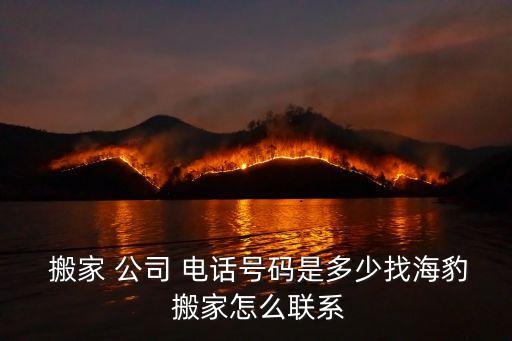  搬家 公司 电话号码是多少找海豹 搬家怎么联系