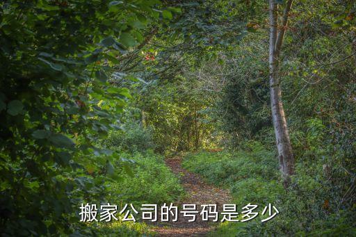 定远仓库搬家价格查询电话