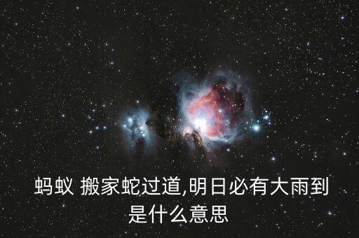  蚂蚁 搬家蛇过道,明日必有大雨到是什么意思