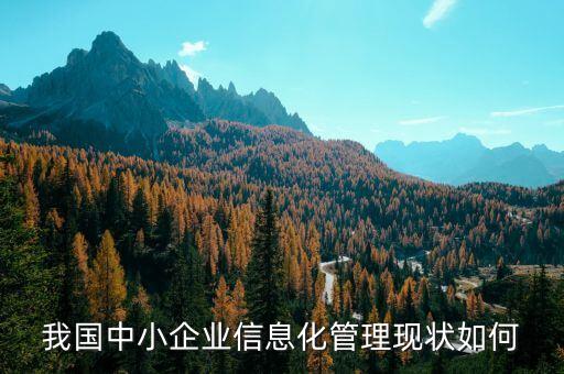 我国中小企业信息化管理现状如何