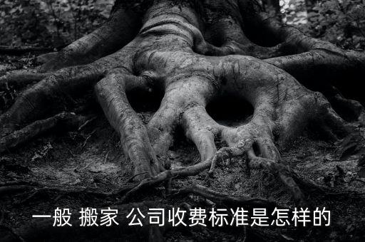 一般 搬家 公司收费标准是怎样的