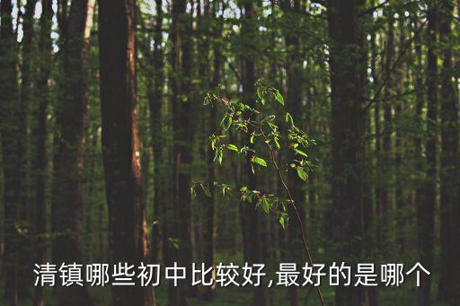  清镇哪些初中比较好,最好的是哪个