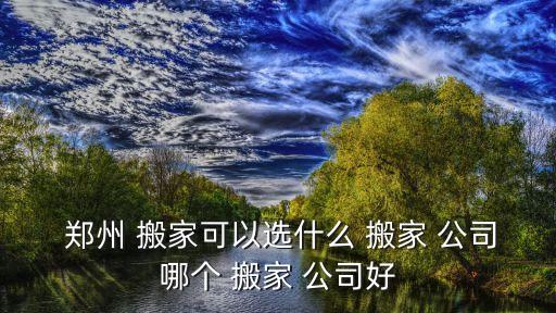  郑州 搬家可以选什么 搬家 公司哪个 搬家 公司好