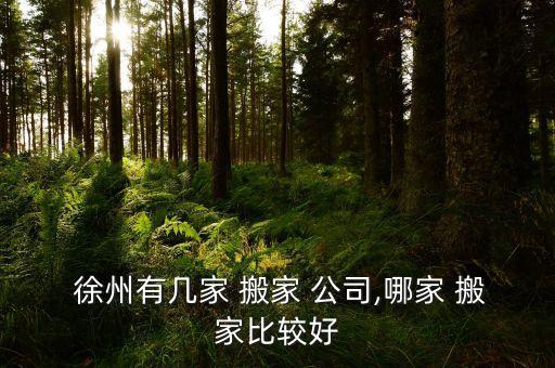  徐州有几家 搬家 公司,哪家 搬家比较好