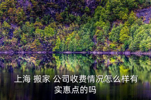  上海 搬家 公司收费情况怎么样有实惠点的吗