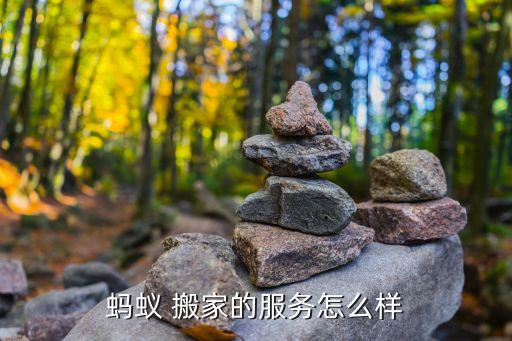 蚂蚁 搬家的服务怎么样