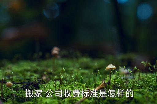  搬家 公司收费标准是怎样的