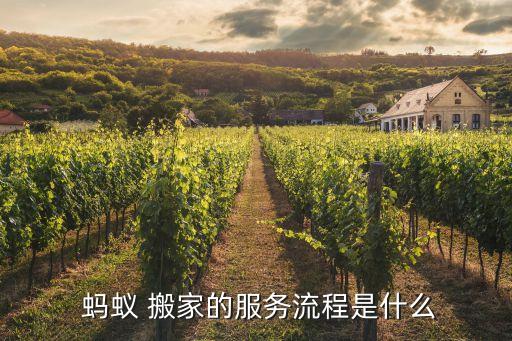  蚂蚁 搬家的服务流程是什么