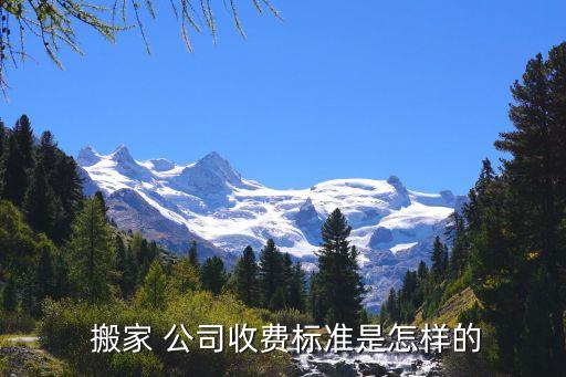  搬家 公司收费标准是怎样的