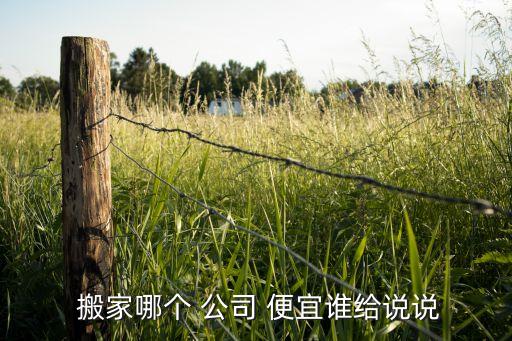  搬家哪个 公司 便宜谁给说说