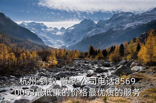 杭州 蚂蚁 搬家 公司电话85690053最低廉的价格最优质的服务