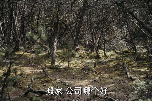  搬家 公司哪个好