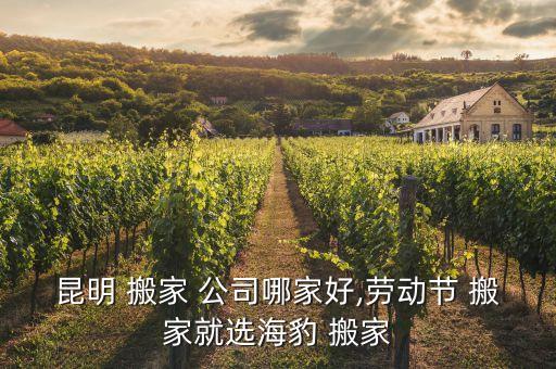昆明 搬家 公司哪家好,劳动节 搬家就选海豹 搬家