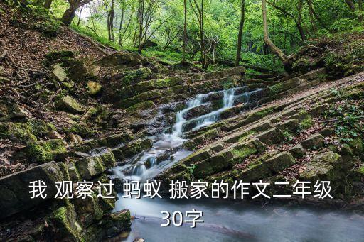 蚂蚁搬家实验观察报告,观察蚂蚁搬家的作文
