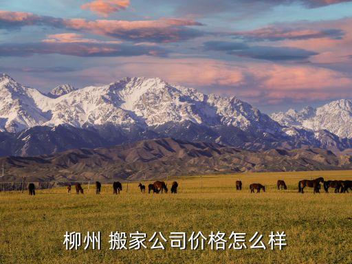 柳州 搬家公司价格怎么样
