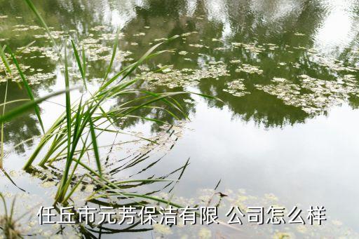 河北任丘市搬家公司,任丘市搬家公司怎样收费?