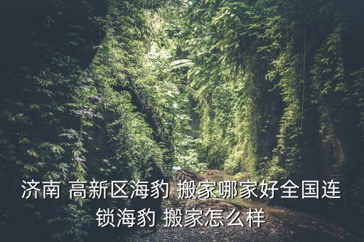 高新区办公搬家公司,石家庄高新区搬家公司电话