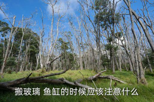 搬玻璃 鱼缸的时候应该注意什么