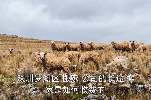 深圳搬家公司到惠州,惠州搬家公司收费标准