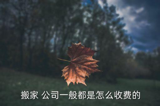  搬家 公司一般都是怎么收费的