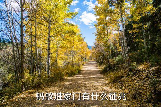  蚂蚁进家门有什么征兆